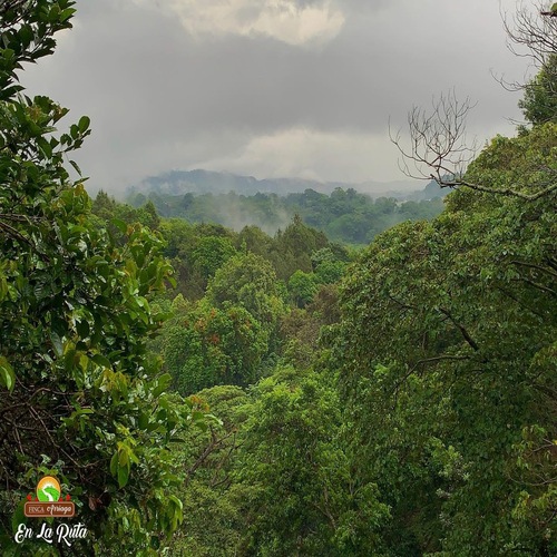 listing-details-carousel