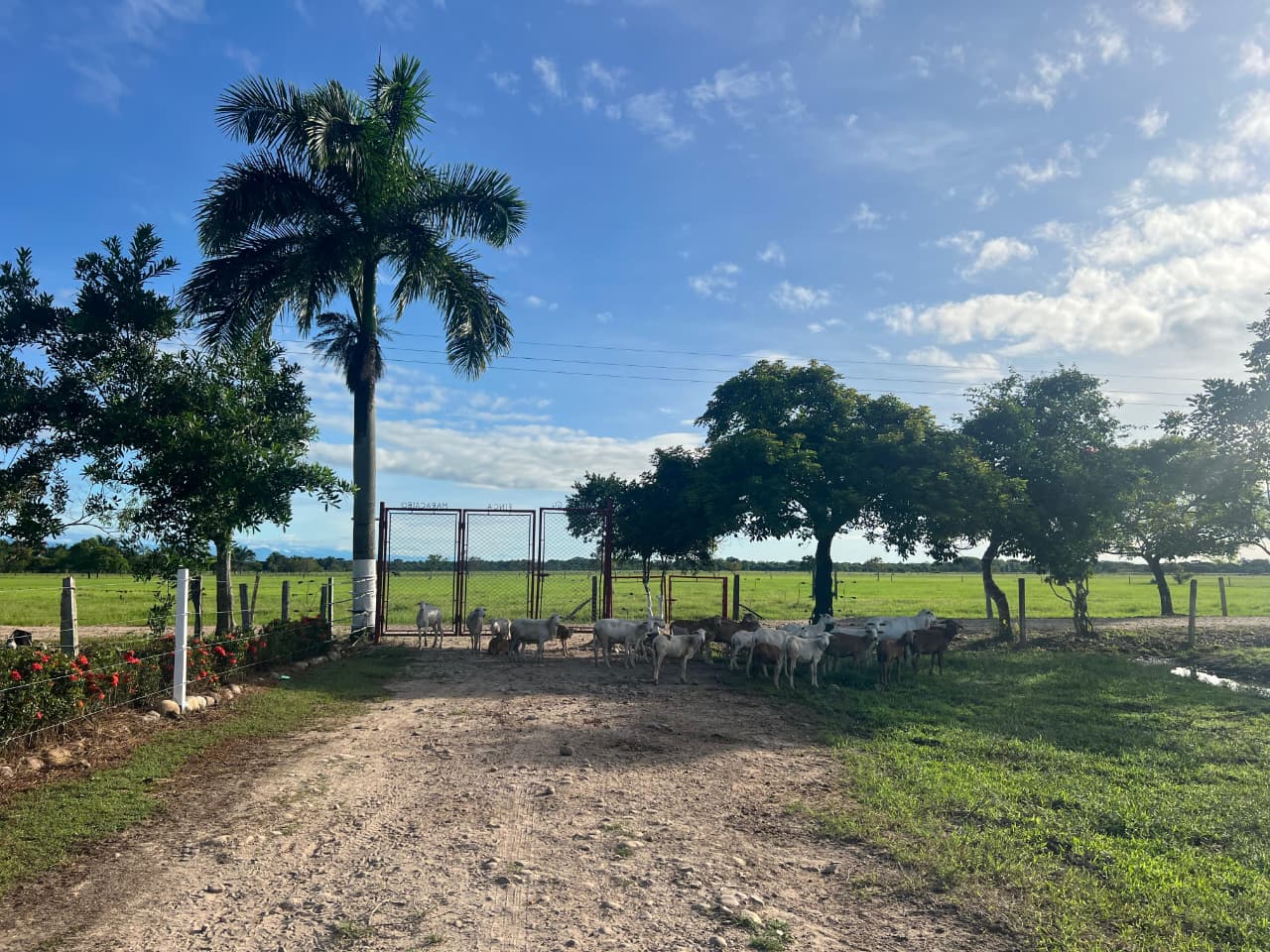 listing-details-carousel