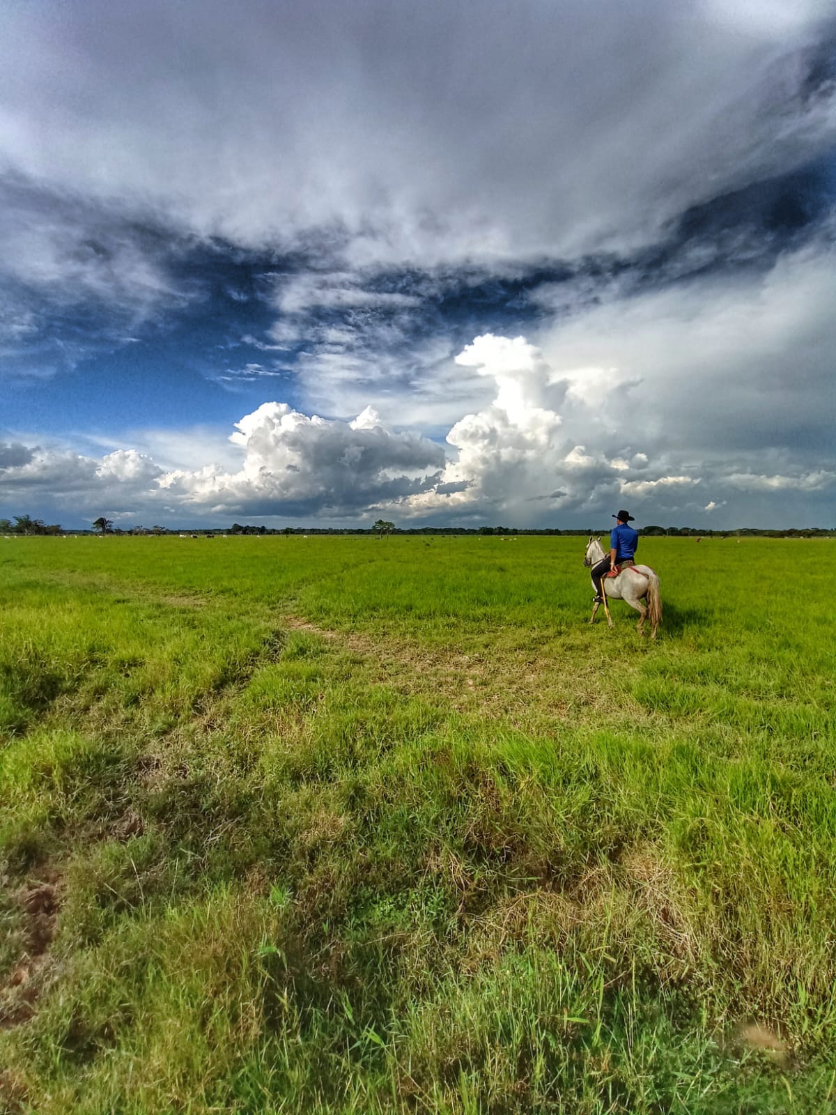 listing-details-carousel