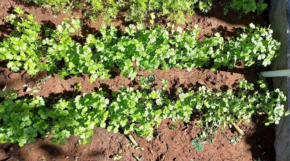 listing-details-carousel