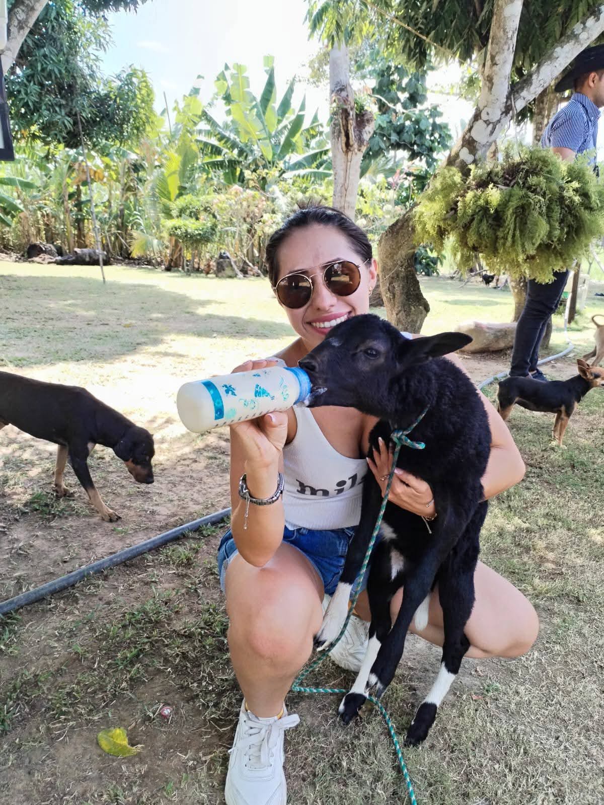 listing-details-carousel