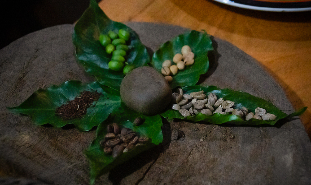 Inca Jungle Ruta del Café a Machu Picchu – 4 Días / 3 Noches