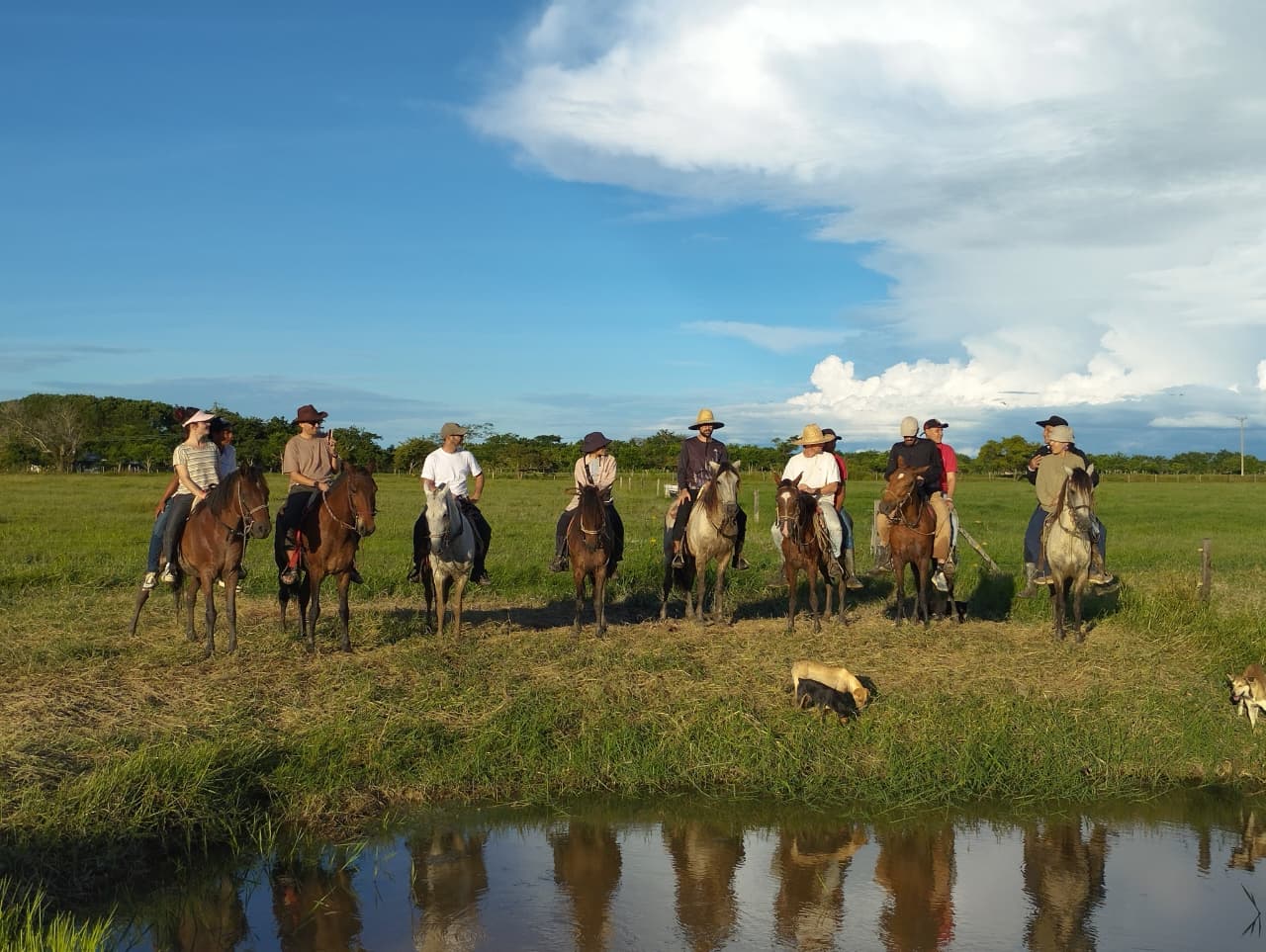 listing-details-carousel