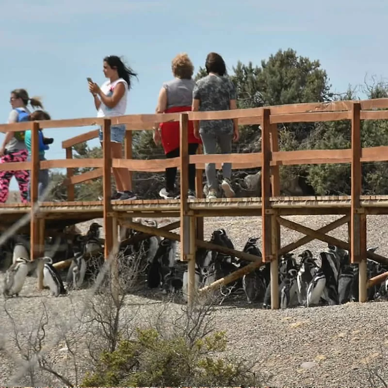 listing-details-carousel