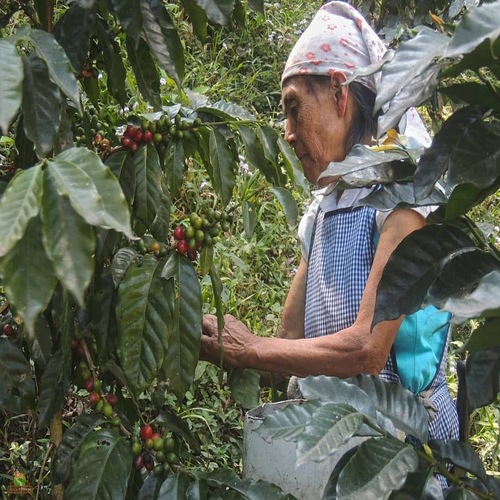 listing-details-carousel