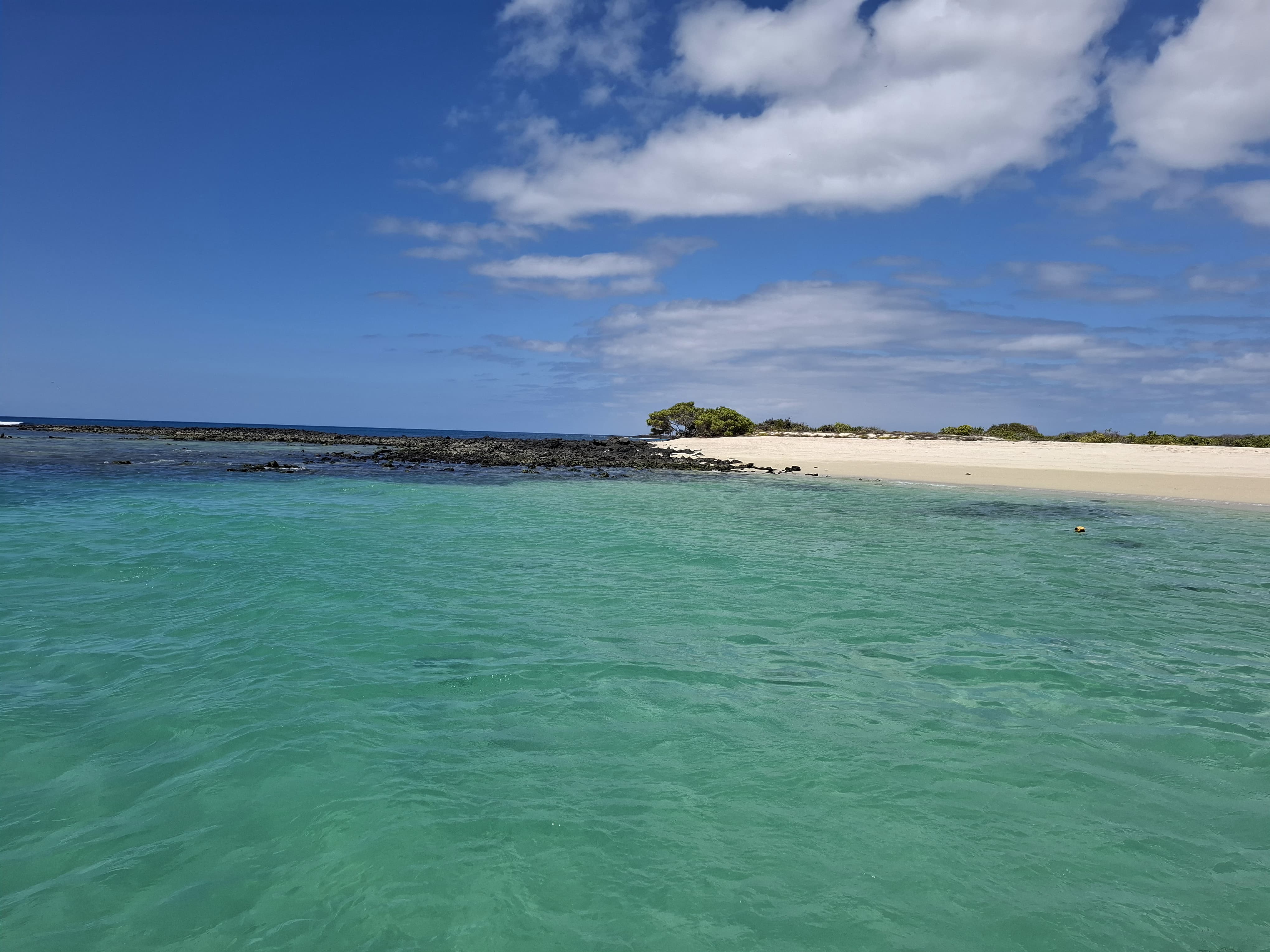 listing-details-carousel