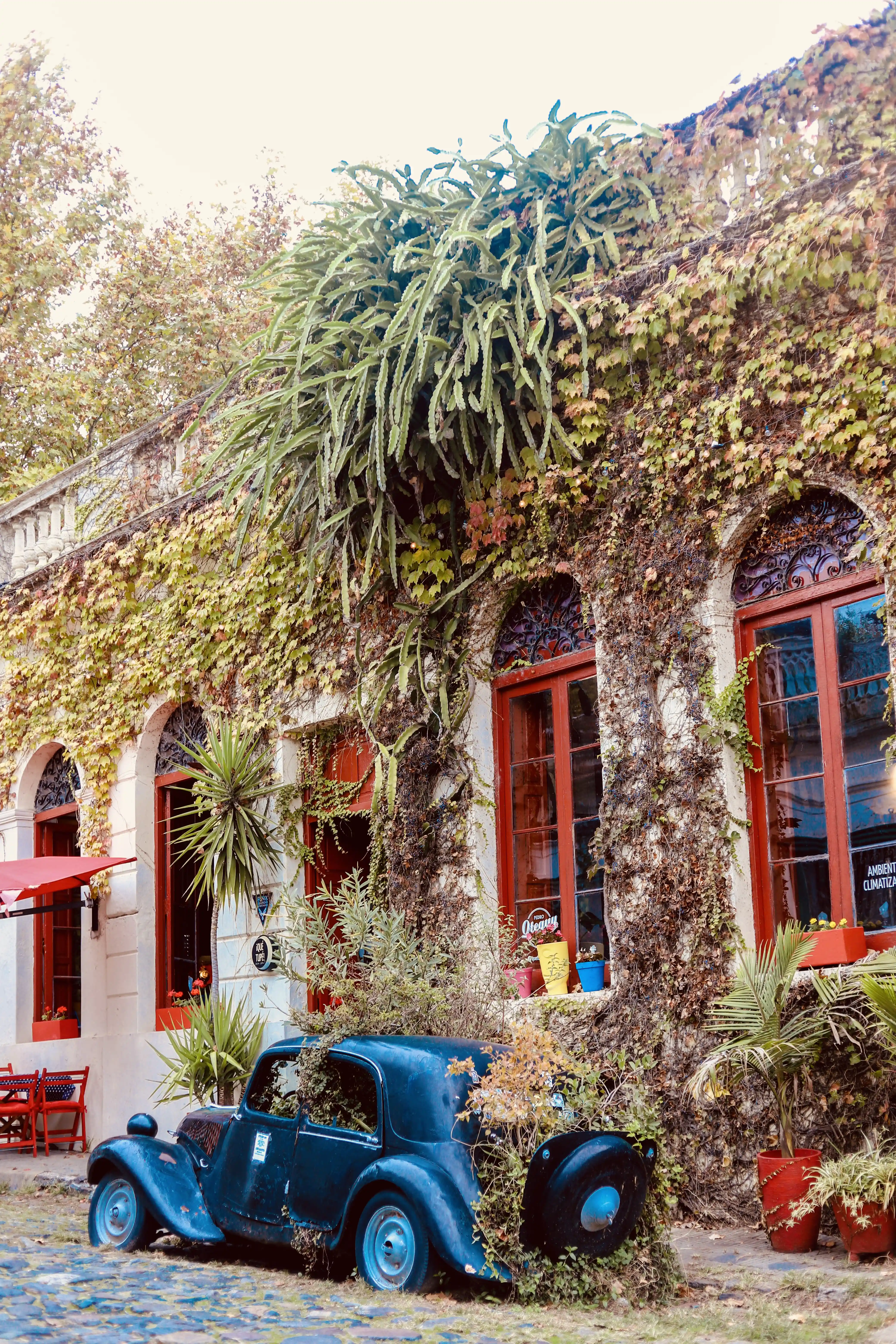 City Tour Colonia del Sacramento