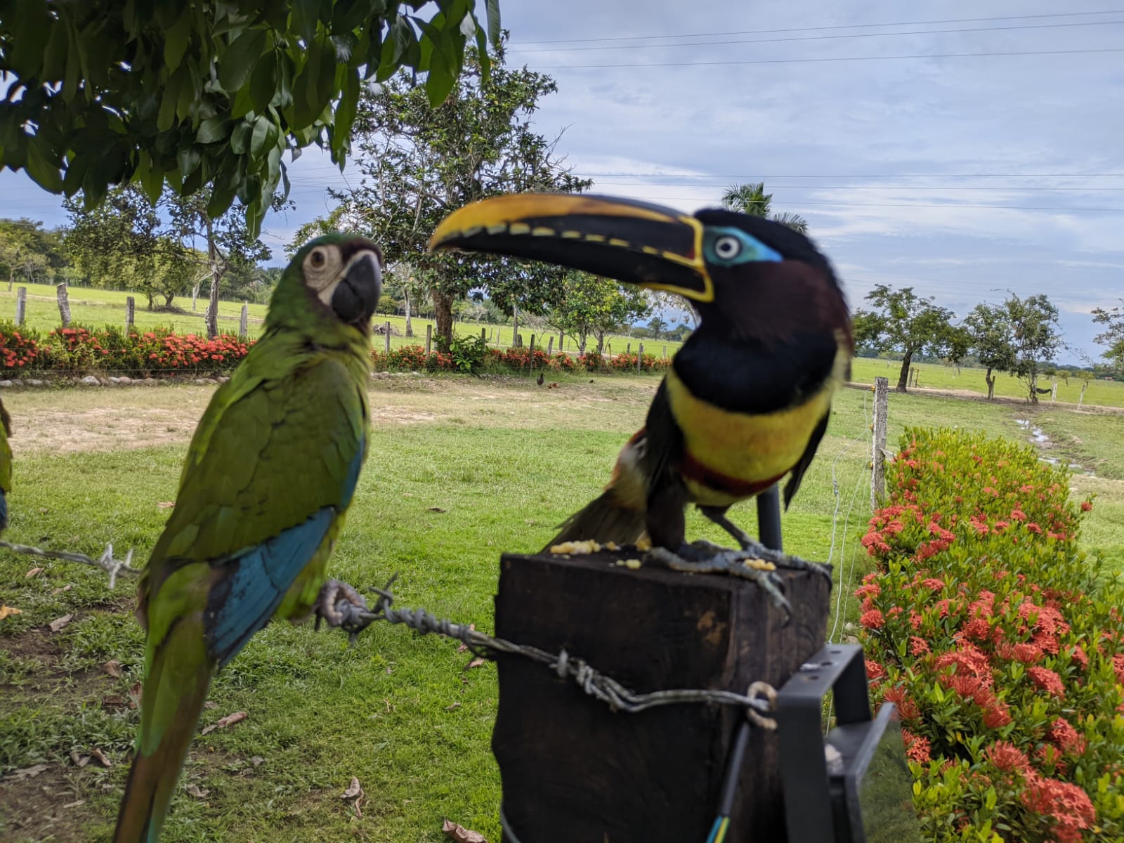 listing-details-carousel