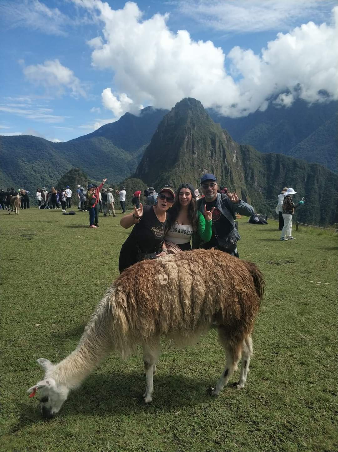 listing-details-carousel