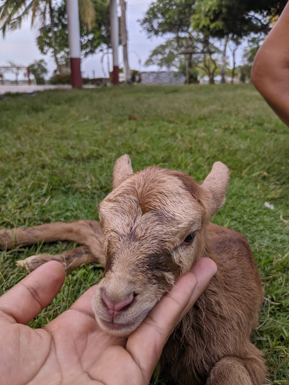 listing-details-carousel