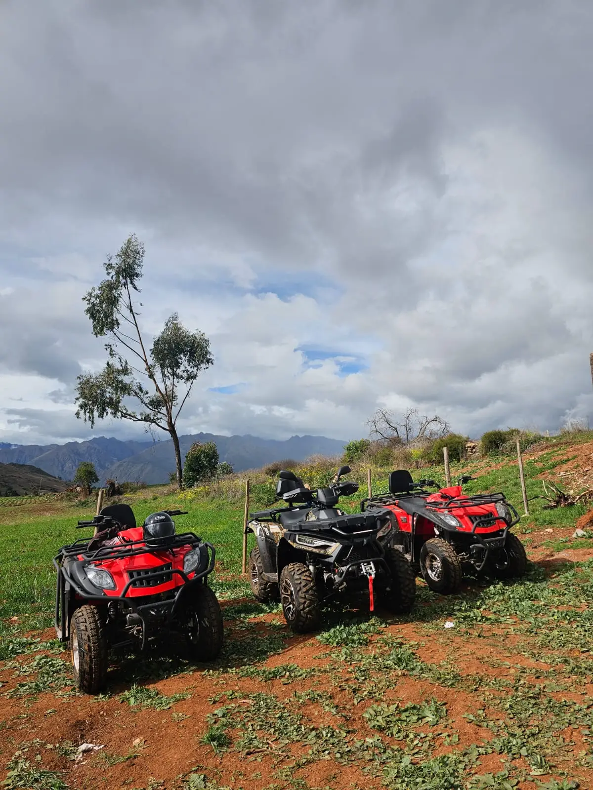 listing-details-carousel