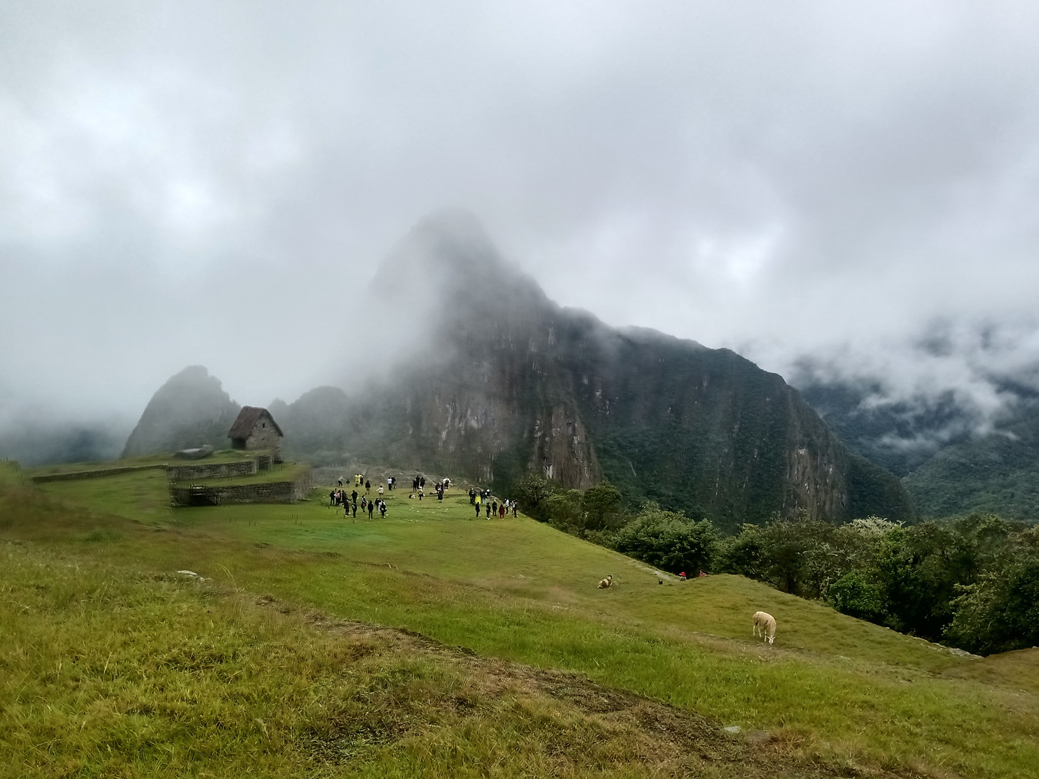 listing-details-carousel