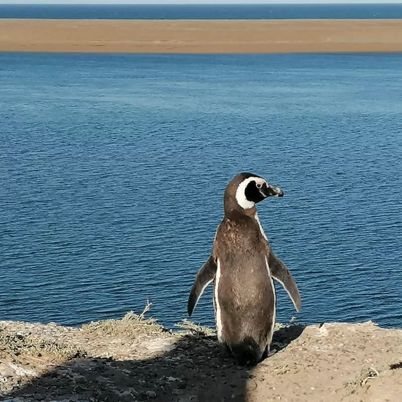 listing-details-carousel